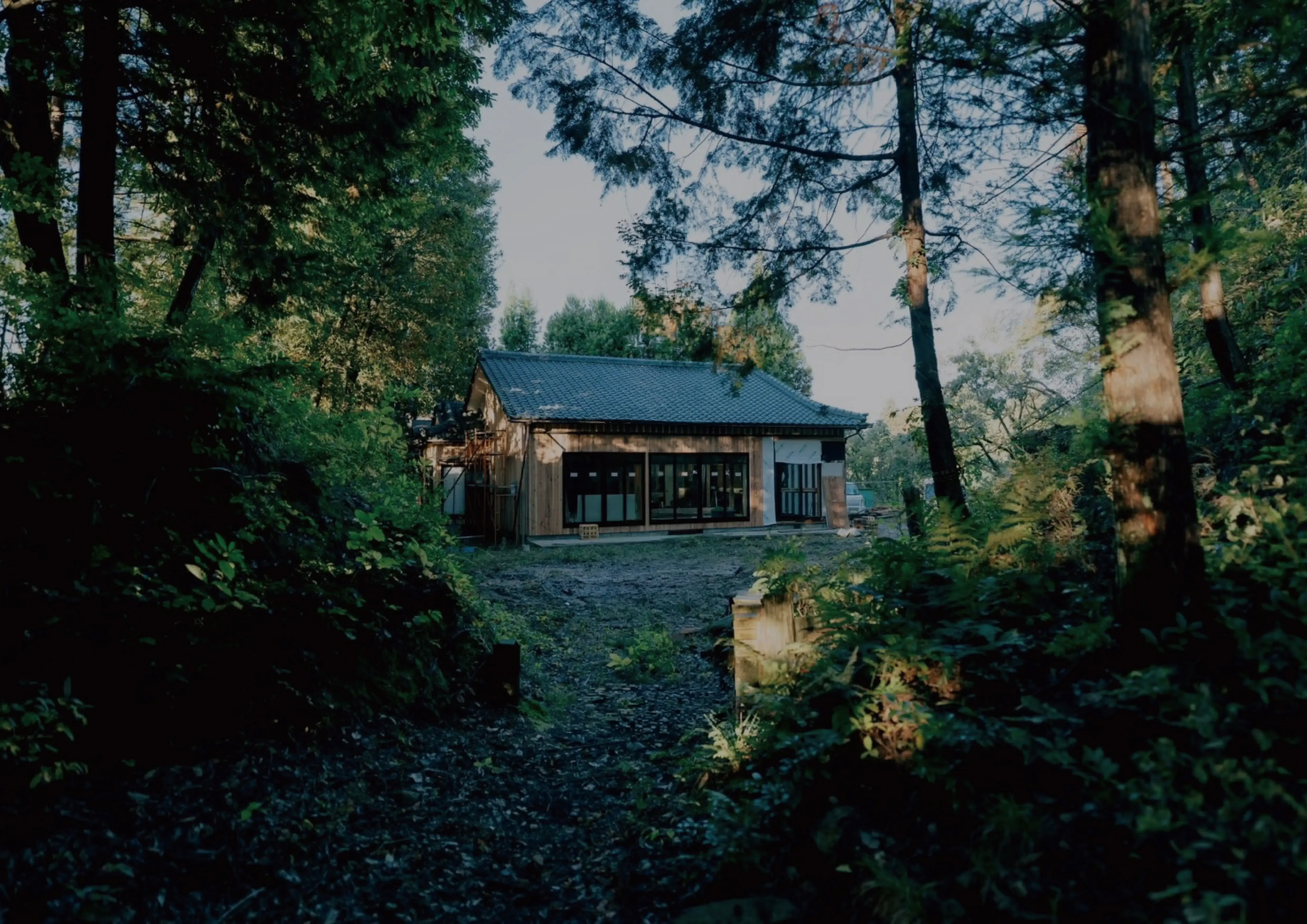 緑に囲まれた古民家の外観